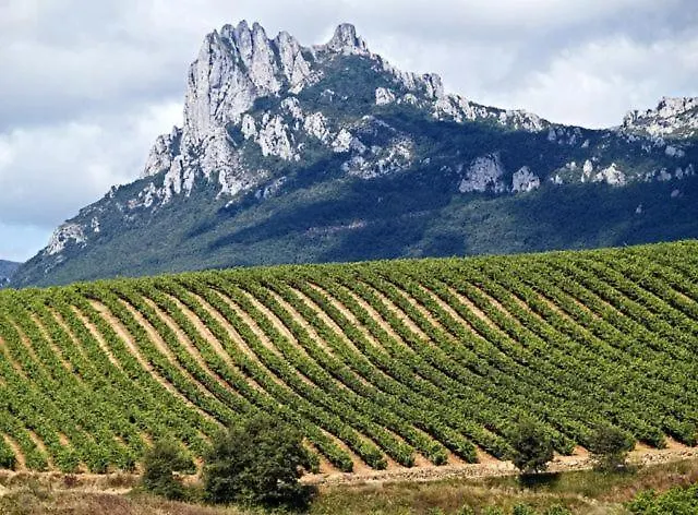 Lejlighed Gaztainondoak