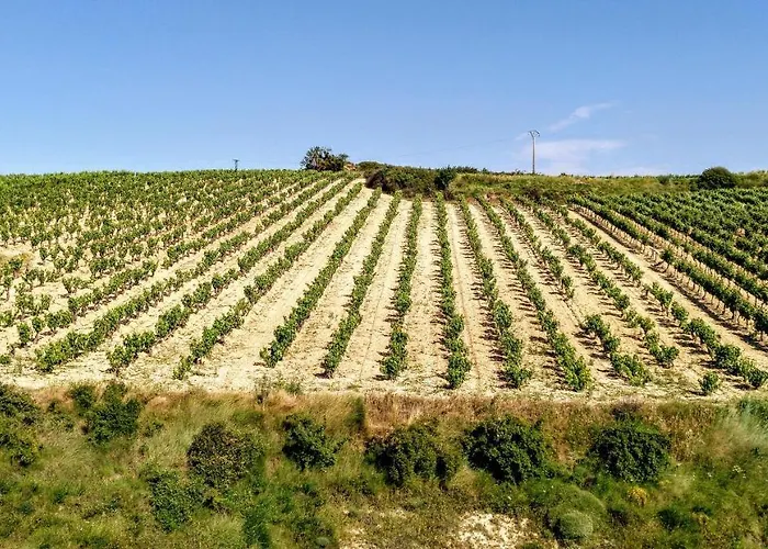 Gaztainondoak * Lanciego